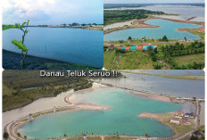 Hidden Gem Ogan Ilir! Danau Teluk Seruo, Destinasi Hits Dekat Tol Palembang-Indralaya