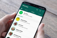 Ingin Sembunyikan Status Online di WhatsApp (WA). Gampang, Ini Caranya, Pasti Banyak yang Belum Tahu?