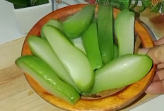 Ragam Manfaat Air Rebusan Labu Siam untuk Kesehatan, Apa Saja? Yuk Simak!