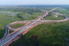 Jalan Tol Sumsel Bukan Hanya Cepat, Tapi Mengubah Peta Ekonomi Sumatera 