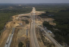 Tol Palembang–Betung: Jalur Cepat Menuju Denyut Ekonomi Regional, Betung–Jambi: Arteri Komoditi Sawit & Karet