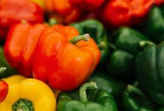 Paprika Bukan Sekadar Hiasan Salad: Ini 4 Khasiat Ajaibnya yang Jarang Diketahui!