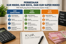 Pelaku UMKM Wajib Tahu! Ini Perbedaan KUR Mikro, KUR Kecil dan KUR Super Mikro