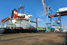 Pelabuhan Raksasa Internasional Dibangun di Sumsel, Mesin Ekonomi Baru Siap Menyala