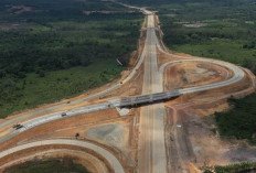 Tol Palembang–Jambi: 240 Km yang Siap Melambungkan Peta Ekonomi Sumatera
