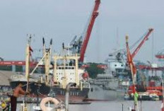 Jika Pelabuhan Internasional Ini Jadi Dibangun, Diprediksi Bisa Serap Puluhan Ribu Tenaga Kerja