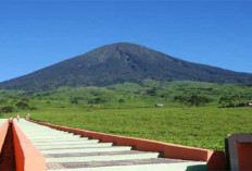 Pagaralam, Kota Sejuk dengan Spot Instagramable: Liburan Murah Rasa Luar Negeri di Kaki Dempo