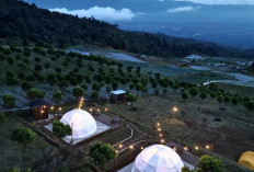 Embun Glamping: Pengalaman Berkemah  dengan Pemandangan Menakjubkan di Pagar Alam