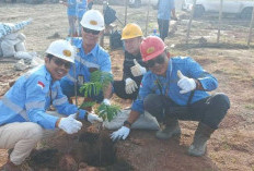 PTBAS Bersama Mitra Kerja Tanam Ribuan Bibit Pohon Mahoni dan Trembesi di Lahan Bekas Tambang