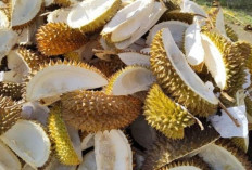 4 Manfaat Kulit Durian yang Harus Anda Ketahui