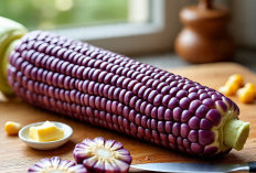 7 Manfaat Jagung Ketan Ungu Untuk Kesehatan