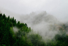 Dari puncak gunung hingga danau luas, 2 wisata sejuk di Sumsel siap manjakan wisatawan