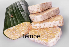 8 Khasiat Tempe Untuk Kesehatan
