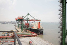 Pelabuhan Tanjung Carat: Langkah Besar Sumsel Menuju Pusat Logistik Internasional