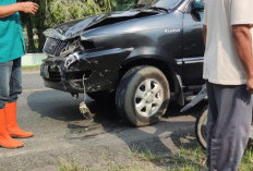 Gagal  Nyalip, Honda Beat-Toyota Kijang Adu Kambing