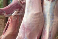 Cara Menghilangkan Bau dari Daging Kambing Saat Dimasak