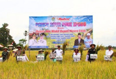Dukung Swasembada, Targetkan Tiga Kali Panen Pertahun
