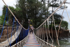 Jangan Lewatkan! Rahasia Pantai Sungai Suci yang Bikin Terpesona!