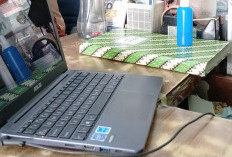 Cara Backup Data Laptop dan HP, Penting Disimak Agar Tidak Menyesal