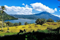 Hawa Mirip Swiss Tapi Ini di Sumsel: Wisata Gunung Dempo dan Danau Ranau Bikin Tak Mau Pulang