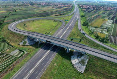 Jaringan Tol Baru di Sumsel Ubah Peta Ekonomi: Konektivitas Tinggi, Investasi Melesat, Logistik Lancar