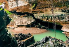 7 Wisata Alam Terbaik di Sumatera Selatan untuk Liburan Keluarga yang Seru dan Edukatif