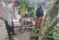 Bhabinkamtibmas Kelurahan Muara Enim Gencar Dorong Program Ketahanan Pangan