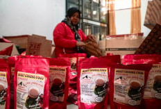 Dari Dapur Kue hingga Meja Belajar, Energi Matahari Hidupkan Harapan Desa Sukakarya