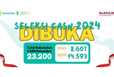 Kemkes Terima 14.593 PPPK 2024, Alur Pendaftaran Telah Dibuka di Bawah Ini