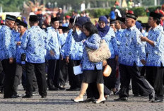  Gaji Ke-13 ASN Cair Juni 2026, Presiden hingga Kepala Daerah Ikut Menerima