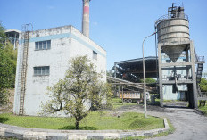 PTBA Perkuat Langkah Menuju Energi Bersih Lewat Uji Coba Co-Firing Wood Pellet di PLTU Tanjung Enim