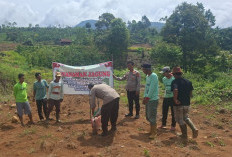 Optimalisasi Lahan Menganggur Untuk Ketahanan Pangan