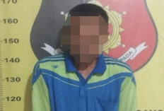 Warga Ujan Mas Dibekuk Curi 60 Tandan Sawit