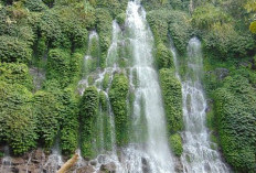 Cughup Maung Lahat: Air Terjun 80 Meter dengan Aroma Misteri di Perbatasan Besemah