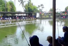 Anda Hobi Mancing? Ini 8 teknik lomba mancing ikan mas yang perlu dicoba!