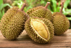 Hati-Hati Mengkonsumsi Durian Secara Berlebih, Ini Dampaknya!