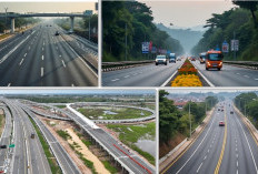 Sumsel Pusat Jalan Tol Trans Sumatera: Jaringan 6 Ruas dan 9 Seksi Menusuk Lintas Provinsi