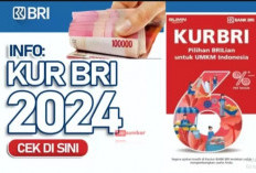 Pelaku UMKM Terbantu Berkat KUR BRI  