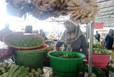 Harga Cabai di Muara Enim Tembus Rp90 Ribu Per Kg