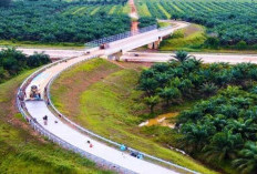 Tol Trans Sumatera Ubah Wajah Ekonomi Sumsel, Kini Jadi Pusat Pertumbuhan Baru