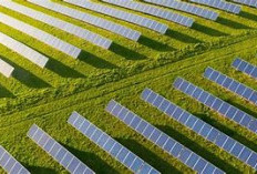Sumsel 2030: Dari Hutan ke Kota Hijau Pintar, Inilah Revolusi Senyap yang Mengubah Indonesia!