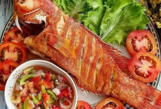  Hidangan Segar: Ikan Kerapu Goreng dengan Sambal Dabu-dabu
