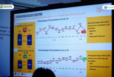 Bukan hanya Surplus 3 Pangan, Ekspor dan Impor Sumsel Tahun 2025 Juga Melesat: Sambut Pusat Ekonomi Baru