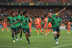  Inilah 5 Hal Penting Tentang  Afrika Selatan, Negara Lolos Piala Dunia 2026 dengan Julukan Rainbow Nation?