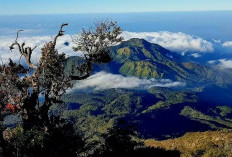 Berada diketinggian 3.256 mdpl, Ini Salahsatu Gunung Tertinggi di Pulau Jawa