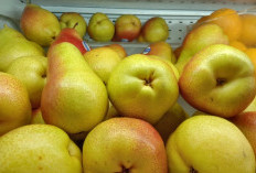 5 Khasiat Buah Pir Untuk Kesehatan Tubuh