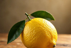 5 Penjelasan Apakah Lemon Bisa Untuk Menurunkan Berat Badan