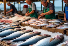 7 Cara Memilih Ikan Segar Agar Aman Dikonsumsi