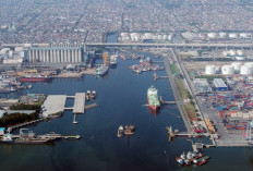 15 PSN Ubah Wajah Sumsel: Tol, Pelabuhan, Energi Hijau Siap Lahirkan Pusat Ekonomi Baru