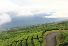 Bukan Swiss, Tapi Sumsel! Liburan Dingin-Dingin Syahdu di Danau Ranau dan Gunung Dempo
